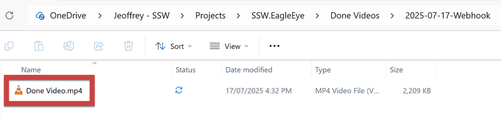 bad example one video file